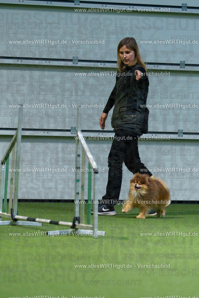 7R506795 | Professionelle Tierfotografie in Mönchengladbach von Daniel Wirth (allesWIRTHgut). Liebevolle & natürliche Bilder von Hunden & Katzen für unvergessliche Erinnerungen.