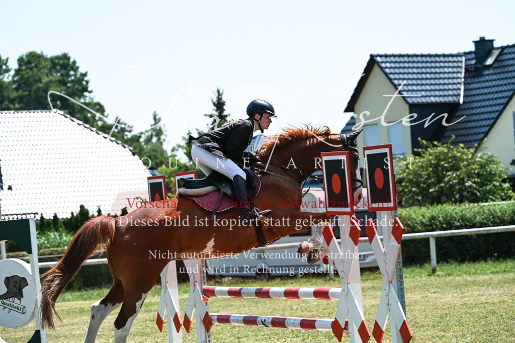 DSC_0014 | Pferde- und Turnierfotografie in Westsachsen. Pferdeportraits, Auftragszeichnungen und intuitive Kunst.