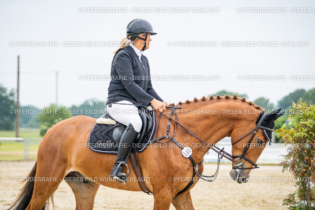 DSC00124 | Pferdegrafie