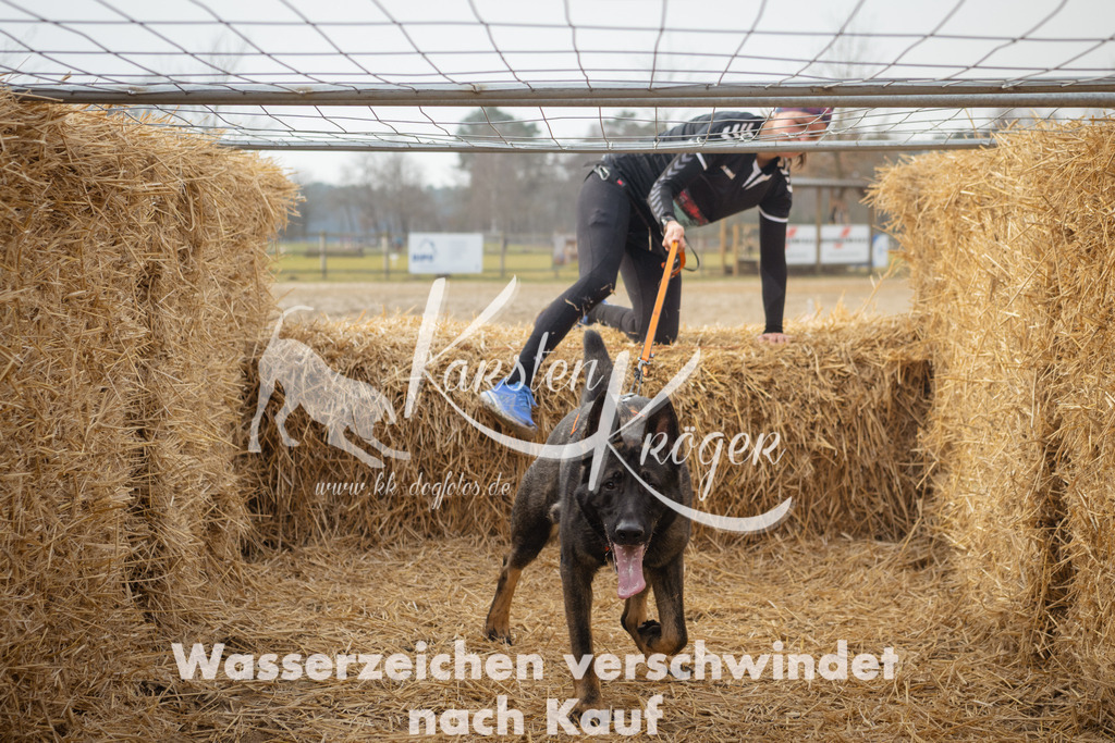 1046_ZZ99052 | kk-dogfotos