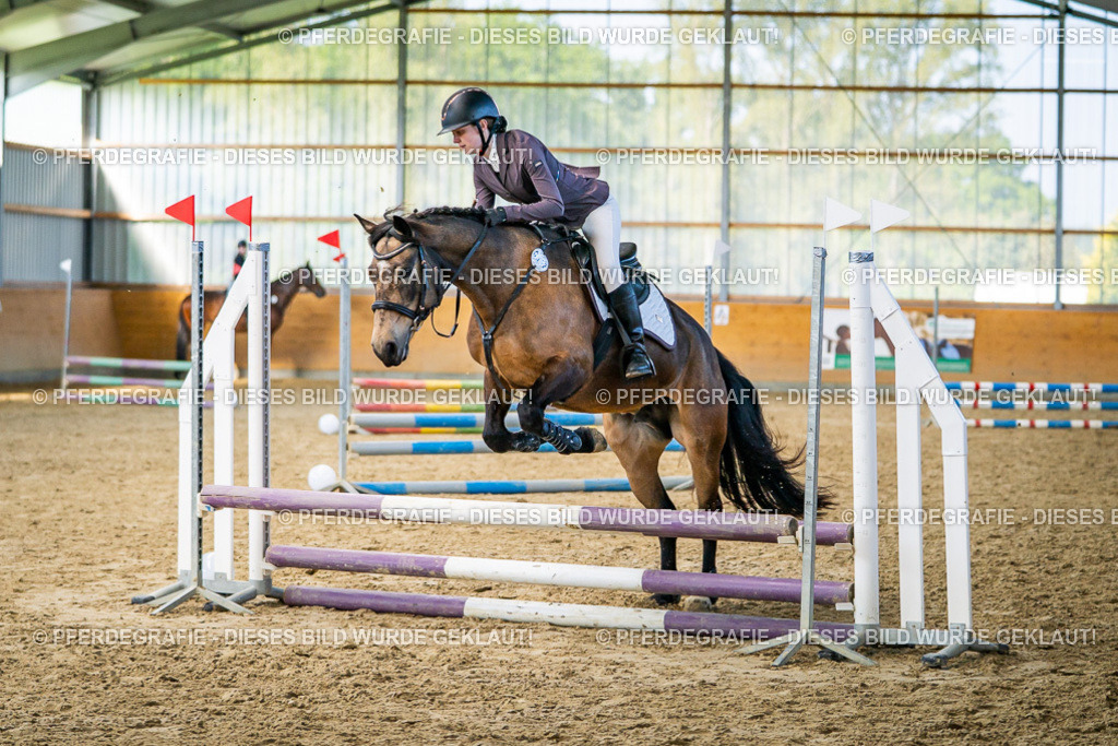 DSC01191 | Pferdegrafie