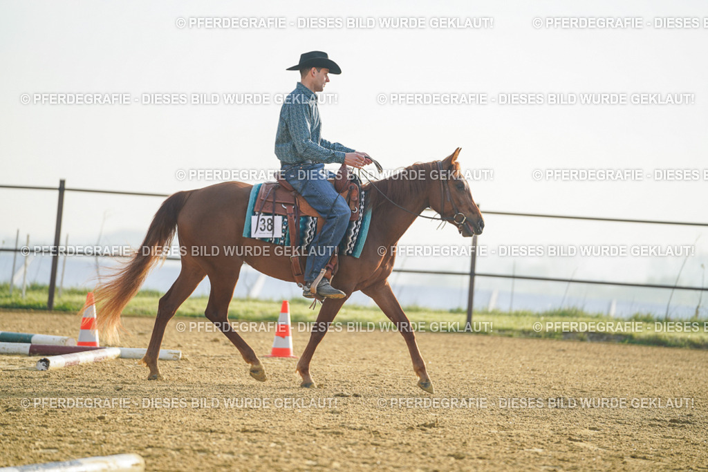 DSC09701 | Pferdegrafie