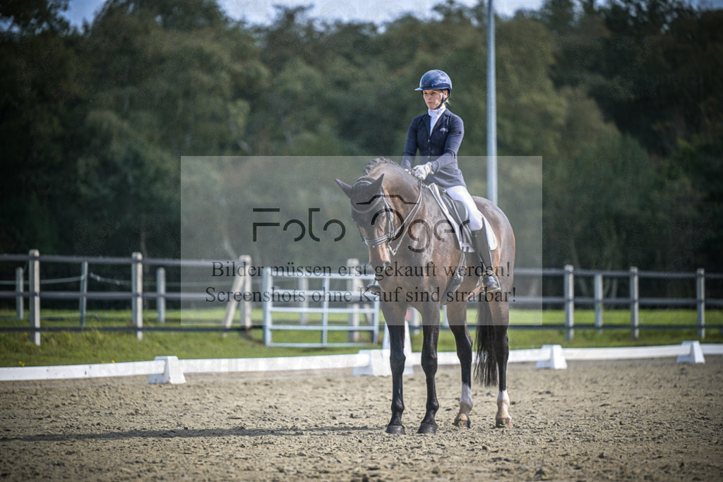 DOS_0011 | Entdecke hochwertige Reitturnierfotos von Foto Oger. Professionell, emotional und authentisch – jetzt Lieblingsmomente im Shop bestellen.Deutschlandweite Turnierfotografie. - Realisiert mit Pictrs.com