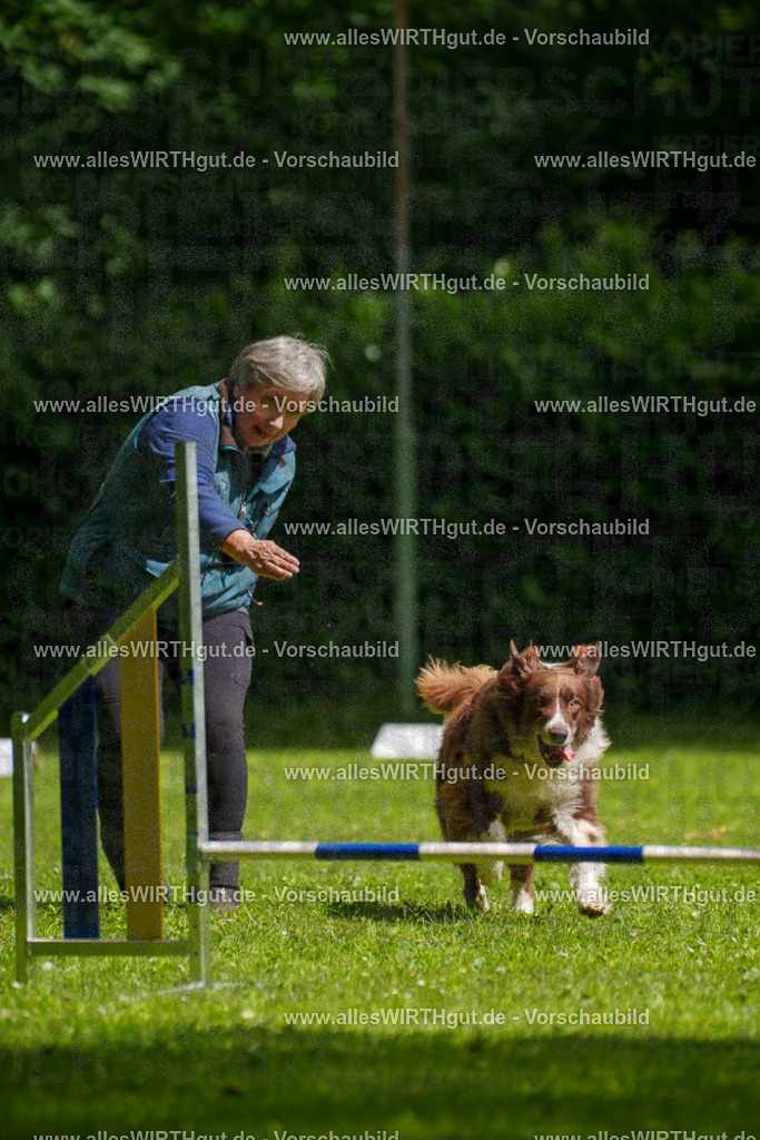 @allesWIRTHgut_Tierfotografie - www.allesWIRTHgut.de - 101032-7R508116 | Professionelle Tierfotografie in Mönchengladbach von Daniel Wirth (allesWIRTHgut). Liebevolle & natürliche Bilder von Hunden & Katzen für unvergessliche Erinnerungen.