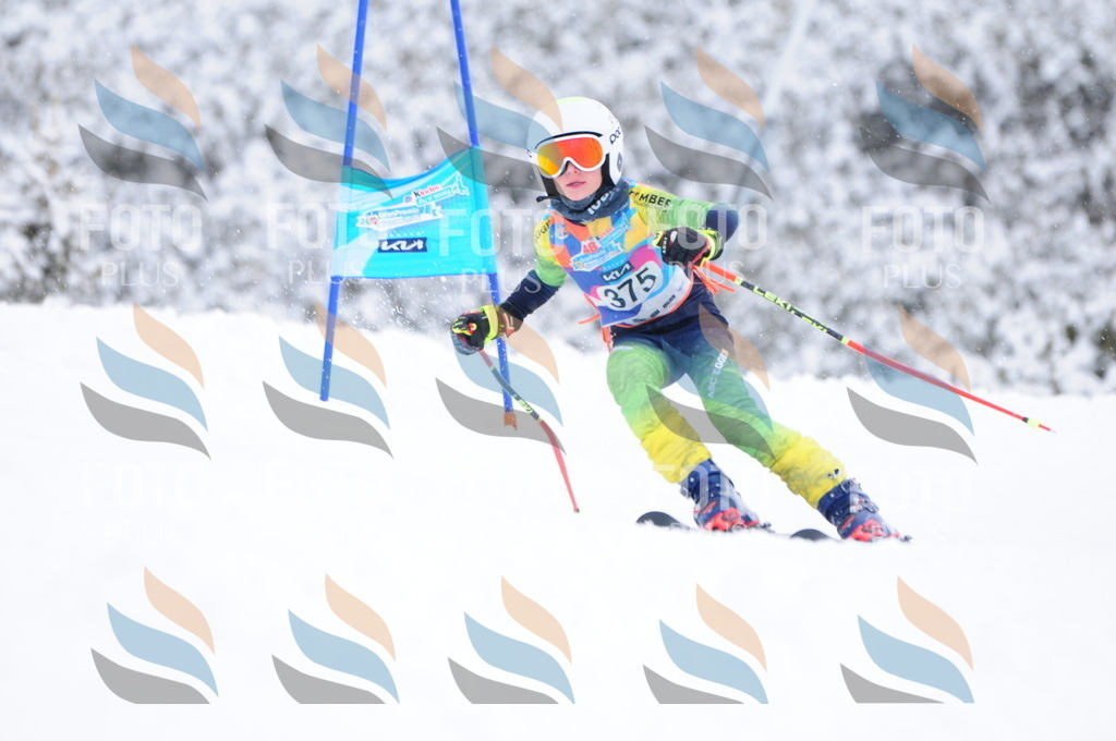 C3995 | holidayphoto