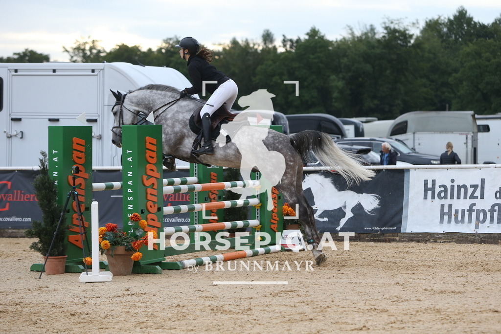 DL2Q4078 | Willkommen bei Brunnmayr - Design & Fotografie – Ihrem Spezialisten für Reitturniere und Pferdeveranstaltungen in Oberösterreich, Salzburg und Bayern! Seit über 17 Jahren sind wir leidenschaftlich dabei.