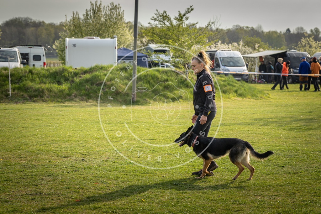 Pfotenfotografie_DV3A4815 | Hundefotografie, Tierfotograf, Pfotenfotografie, Fotoshooting Hund, Hunde Portrait, Hundesport, Hundeportraits, Heideshooting, Hunde, Sportfotograf, Hundefotograf, Turnierhundsport, THS,  - Realisiert mit Pictrs.com