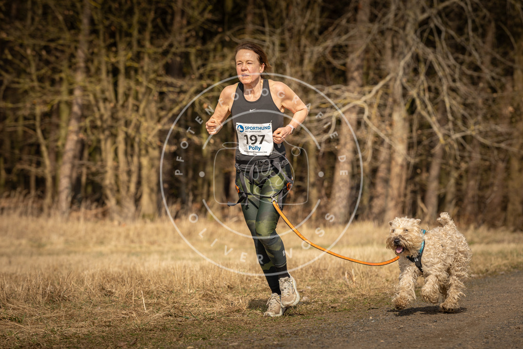 DV3A5450 | Hundefotografie, Tierfotograf, Pfotenfotografie, Fotoshooting Hund, Hunde Portrait, Hundesport, Hundeportraits, Heideshooting, Hunde, Sportfotograf, Hundefotograf, Turnierhundsport, THS,  - Realisiert mit Pictrs.com