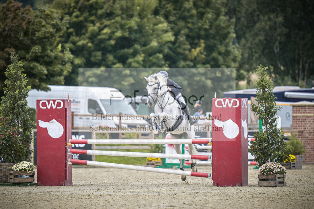 DOS_0150 | Entdecke hochwertige Reitturnierfotos von Foto Oger. Professionell, emotional und authentisch – jetzt Lieblingsmomente im Shop bestellen.Deutschlandweite Turnierfotografie. - Realisiert mit Pictrs.com