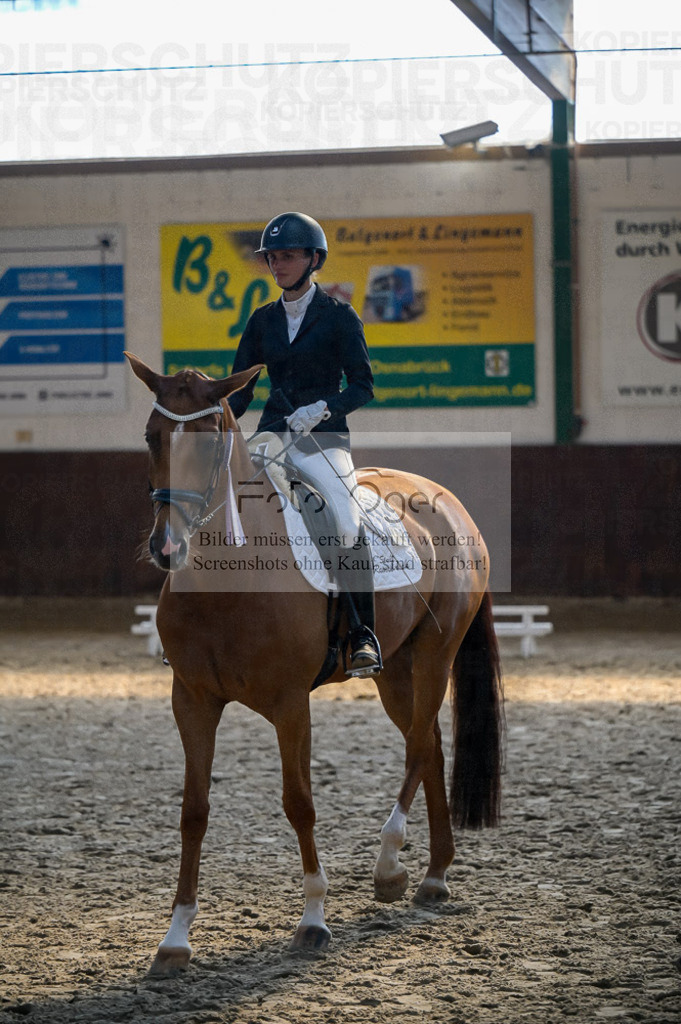 Reitturnier Voxtrup | Entdecke hochwertige Reitturnierfotos von Foto Oger. Professionell, emotional und authentisch – jetzt Lieblingsmomente im Shop bestellen.Deutschlandweite Turnierfotografie. - Realisiert mit Pictrs.com