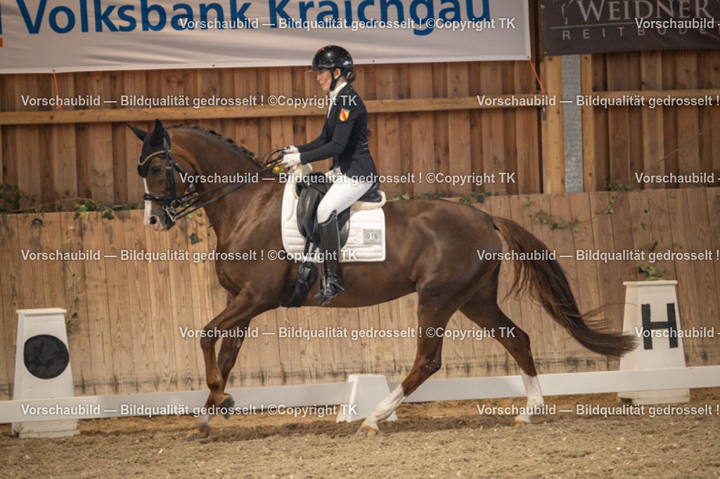 _D5A9456 | Emotionale Pferde- & People-Fotografie rund um Heidelberg, Leimen & Umgebung. Natürliche Fotos von Pferd, Mensch & Familie. Jetzt Termin sichern!