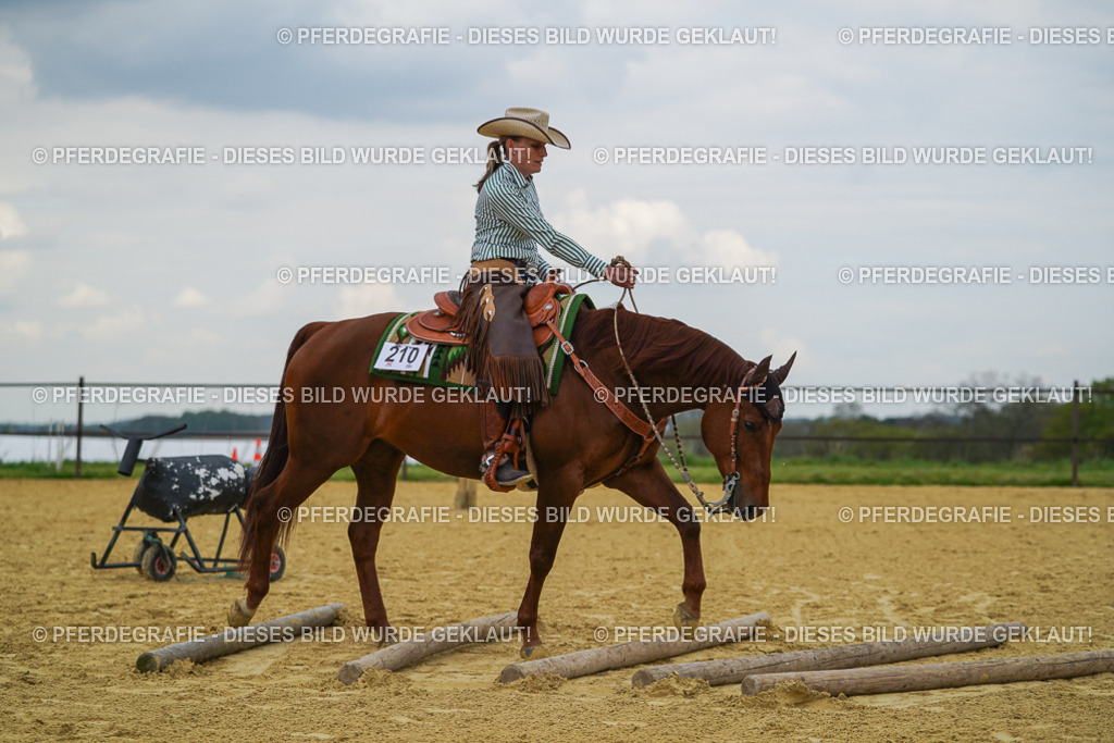 DSC06947 | Pferdegrafie