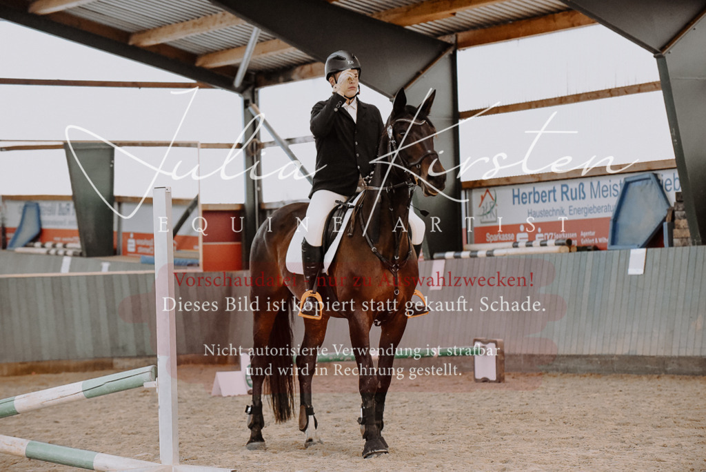 DSC_7431 | Pferde- und Turnierfotografie in Westsachsen. Pferdeportraits, Auftragszeichnungen und intuitive Kunst.