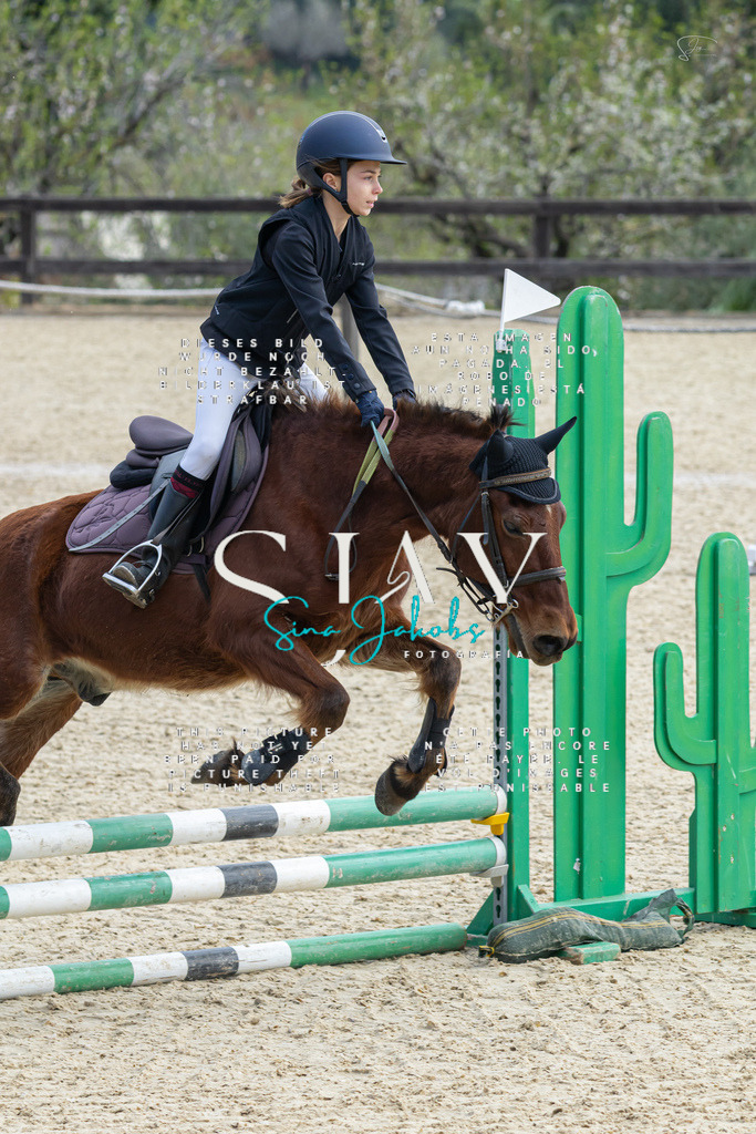 IMG_4718 | s-jay-photography - Realisiert mit Pictrs.com