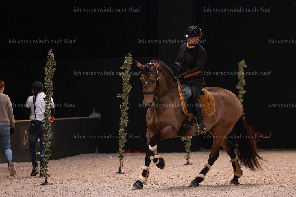 JoseraCup-45 | working equitationturnier fotograf videograf stoibphotography marixx film working equitation deutschland reitsport turnierfotografie eventfotografie equestrian events