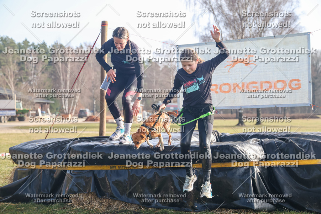 Dog Paparazzi - Strongdog North Mrz26-366 | Dog Paparazzi Jeanette Grottendiek Fotografie & Videografie - Realisiert mit Pictrs.com