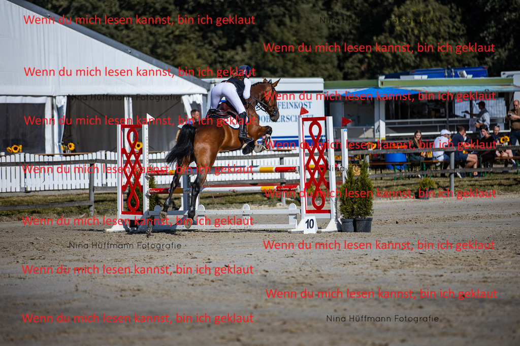 BK1A5869 | Turnierbilder Turnierfotos Nina Hüffmann Turnierfotografie Pferdefotografie Tierzeichnung Haustierzeichnung Pferdezeichnung Hundezeichnung Videograf  - Realisiert mit Pictrs.com