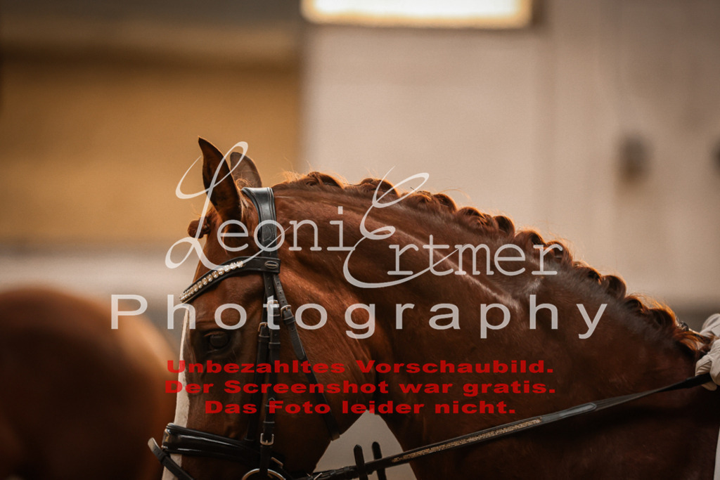 6.SoDrPfA00094 | Leoni Ertmer Photography - Realisiert mit Pictrs.com