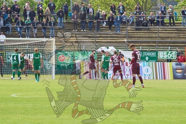 BFC Dynamo vs. BSG Chemie Leipzig  044 | mythos-online-redaktion