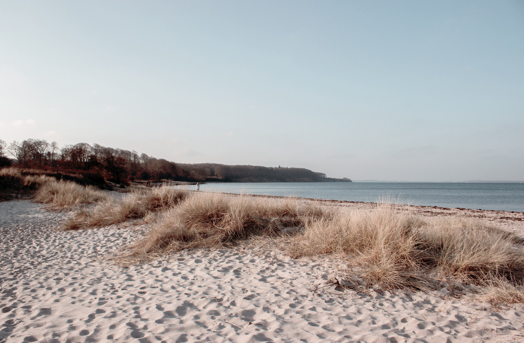 Wandbild: Strandhafer am Sandstrand | Dieses Bild im Querformat zeigt Strandhafer am Sandstrand. Der Sand im Vordergrund bringt einen natürlichen Sandton ins Wandbild. Das matte Hellblau im Himmel wirkt beruhigend und gleichzeitig elegant. Durch die dezenten Farben passt dieses maritime Wandbild zu fast jedem Einrichtungsstil. Dieses Wandbild ist auf Leinwand, Aluminium-Platte, Acrylglas oder als Holzdruck erhältlich. Die Wandbilder werden individuell für Sie in vielen Abmessungen produziert. Daher passen die Ostseekult Wandbilder immer perfekt an Ihre Wände. - Realisiert mit Pictrs.com