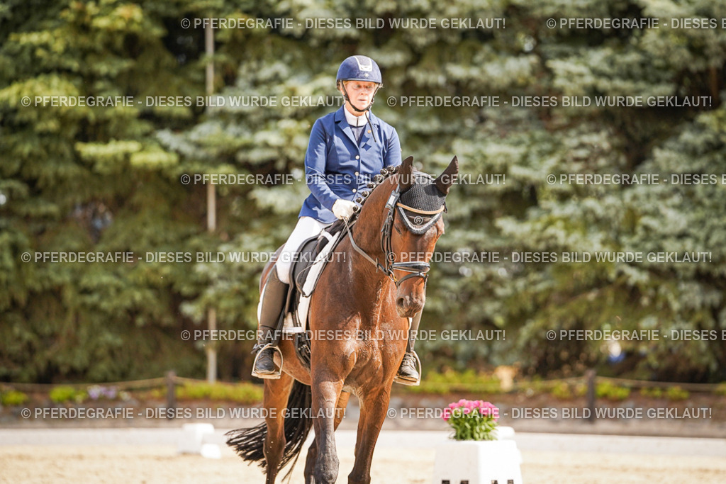 DSC01374 | Pferdegrafie