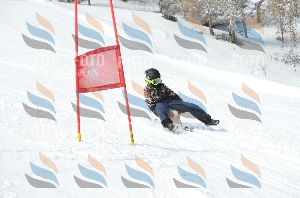 D9299 | holidayphoto