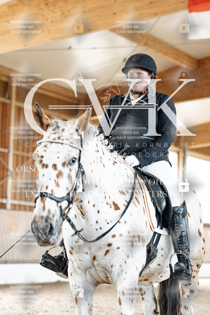 CK901239 | Turnierfotografie Pferdefotografie Trier Rheinland-Pfalz Pferdesport Reitsport Tierfotografie Sportfotografie Pferdevideo Pferdevideografie Equestrianvideography equestrianphotography  - Realisiert mit Pictrs.com