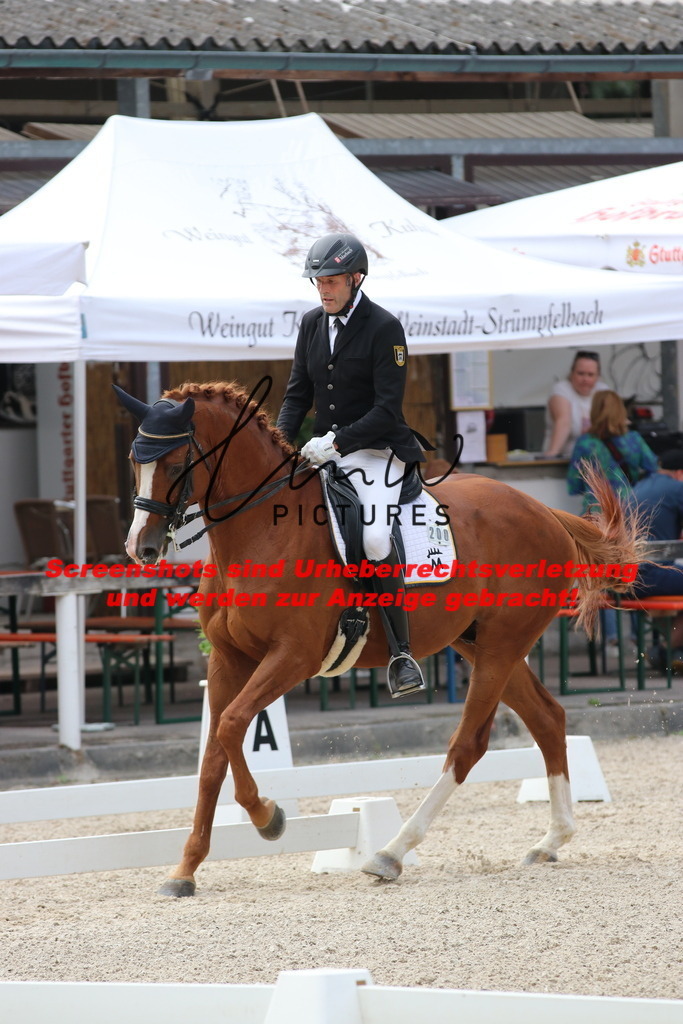 IMG_6988 | lmwpictures - Realisiert mit Pictrs.com