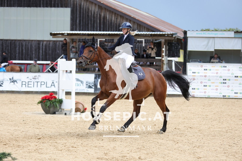 0P6A4195 | Willkommen bei Brunnmayr - Design & Fotografie – Ihrem Spezialisten für Reitturniere und Pferdeveranstaltungen in Oberösterreich, Salzburg und Bayern! Seit über 17 Jahren sind wir leidenschaftlich dabei.