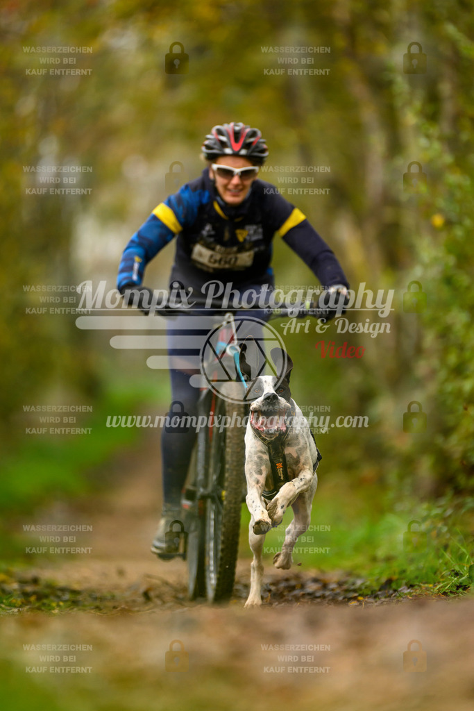 MompixPhotography_20TSB_E6_Bike-71 | PayLife