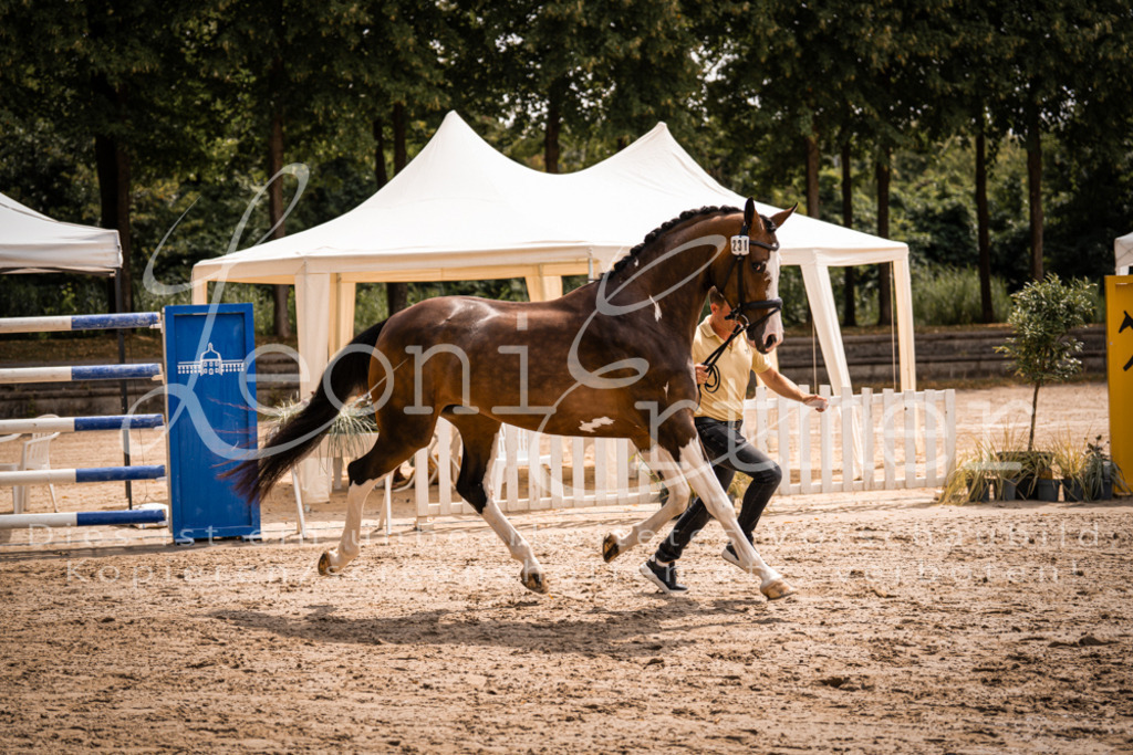 2. Fr00176 | Leoni Ertmer Photography - Realisiert mit Pictrs.com