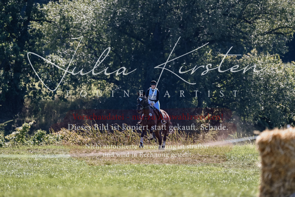 DSC_1820 | Pferde- und Turnierfotografie in Westsachsen. Pferdeportraits, Auftragszeichnungen und intuitive Kunst.