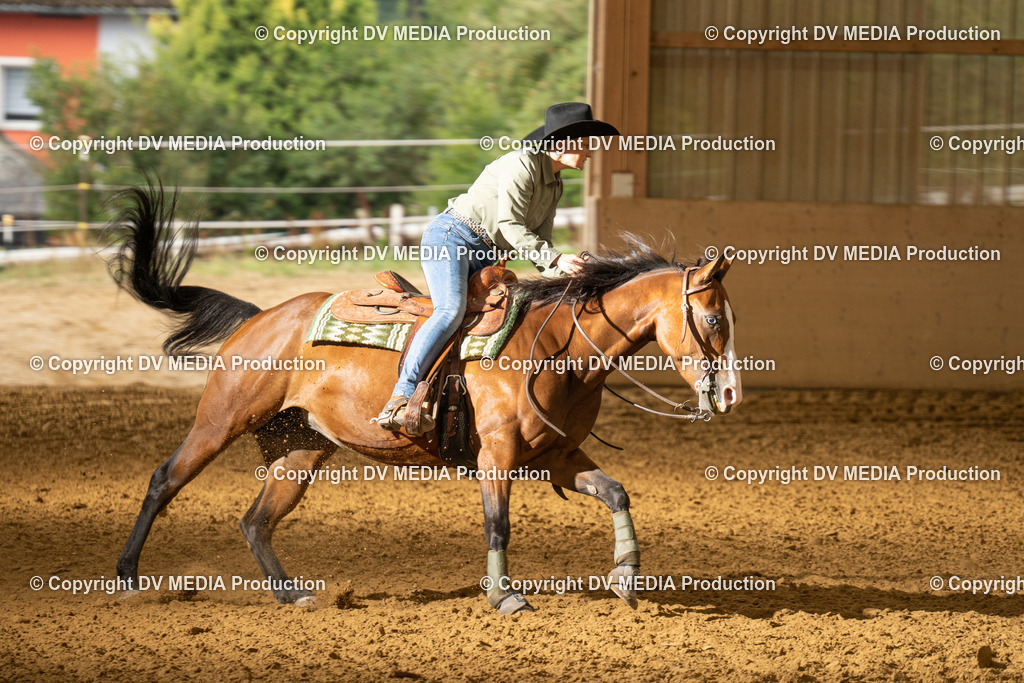 LAU01357 | dv-media-shop - Realisiert mit Pictrs.com