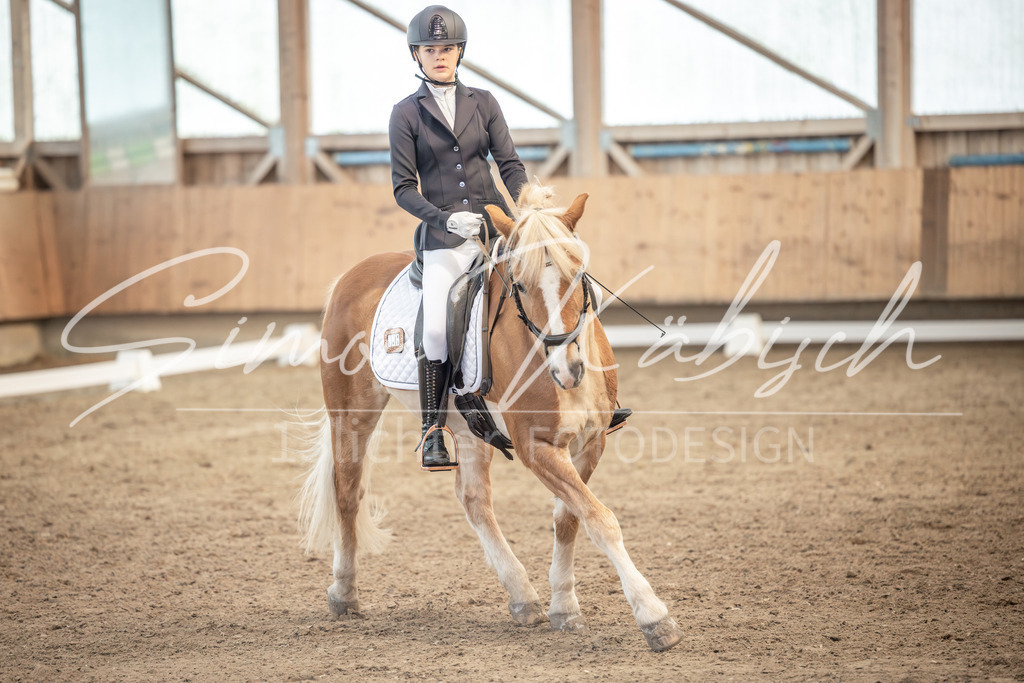 20251011-_3LI6523 | Tierfotografie Pferde, Hunde, Katzen, Haustiere.
Turnierfotografie Reitturniere, Reiten, Springreiten, Dressur in Hanau, dem Main-Kinzig-Kreis und dem Rhein-Main- Gebiet um Frankfurt