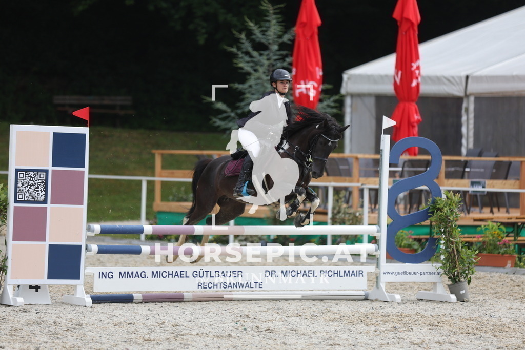 0P6A0504 | Willkommen bei Brunnmayr - Design & Fotografie – Ihrem Spezialisten für Reitturniere und Pferdeveranstaltungen in Oberösterreich, Salzburg und Bayern! Seit über 17 Jahren sind wir leidenschaftlich dabei.