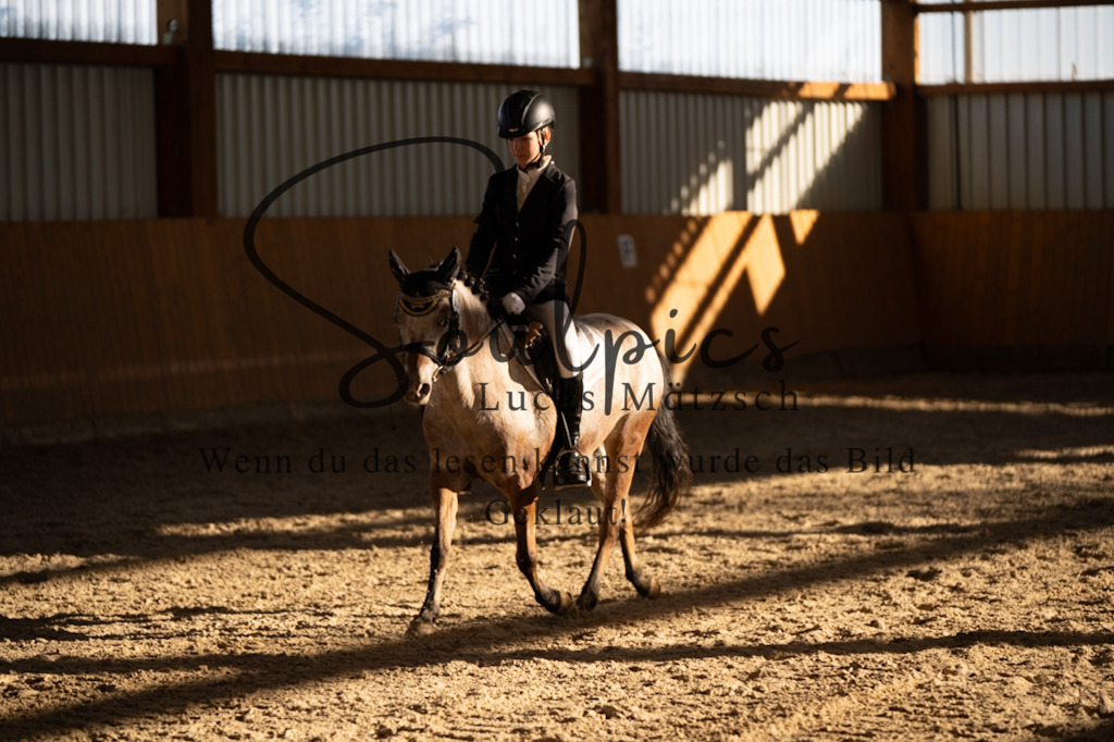 A7V01673 | Turnier/Reitfotograf