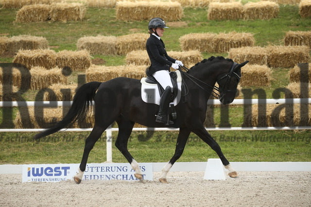 Birkhof_2022_Dressurprüfung_Kl.M_Linda Keilbach_Sir Sunny (1) | Alle Fotos der Reiterjournal Fotografin Doris Matthaes im Reiterjournal Online-Fotoshop. - Realisiert mit Pictrs.com