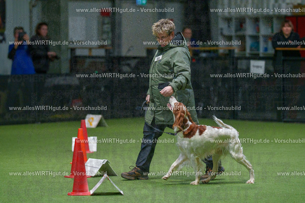 7R504852 | Professionelle Tierfotografie in Mönchengladbach von Daniel Wirth (allesWIRTHgut). Liebevolle & natürliche Bilder von Hunden & Katzen für unvergessliche Erinnerungen.