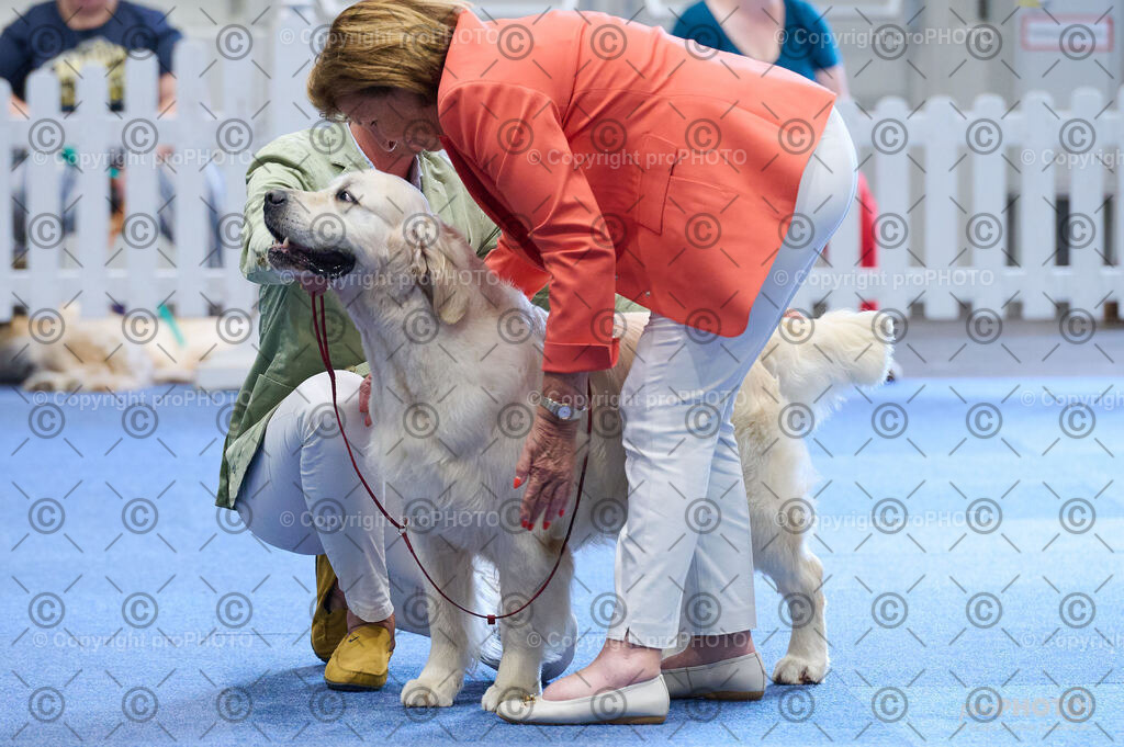 202406_ÖKV-IHA-Tulln24_DSC_5351 | proPHOTO - Realisiert mit Pictrs.com