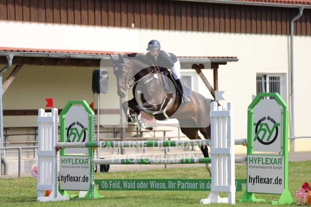 IMG_7098 | Pauline Ullmann Photography - Realisiert mit Pictrs.com