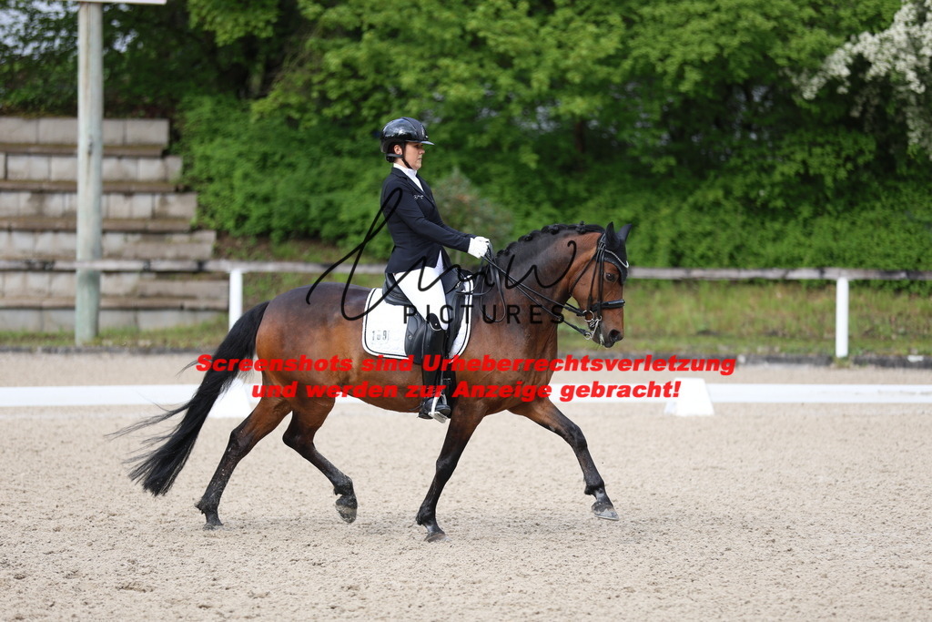 A40A0360 | lmwpictures - Realisiert mit Pictrs.com