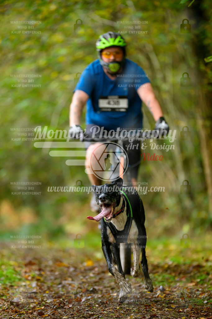 MompixPhotography_20TSB_E1_Bike-71 | PayLife