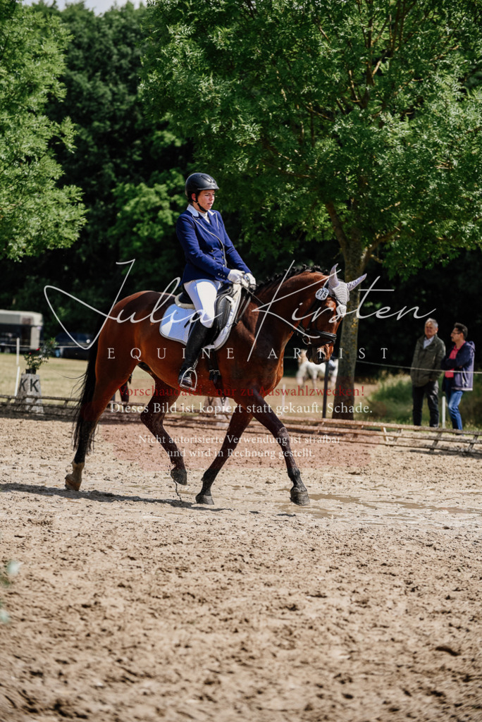 DSC_1268 | Pferde- und Turnierfotografie in Westsachsen. Pferdeportraits, Auftragszeichnungen und intuitive Kunst.
