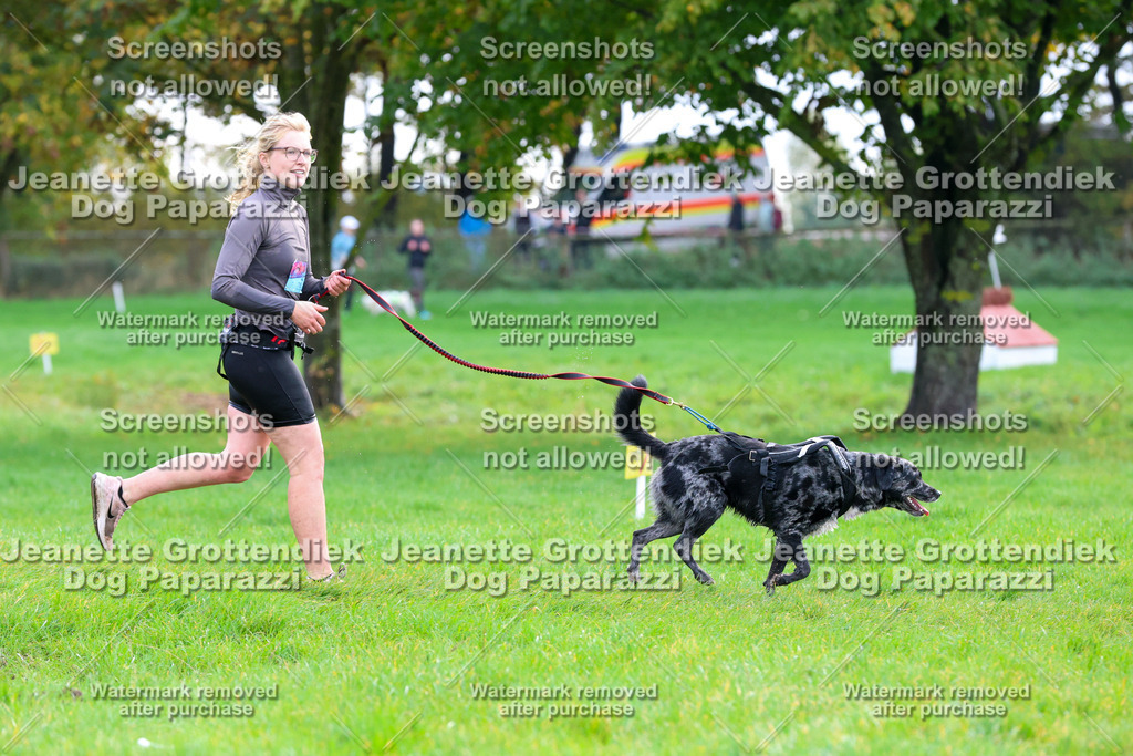 Dog Paparazzi -  SD1026-2140 | Dog Paparazzi Jeanette Grottendiek Fotografie & Videografie - Realisiert mit Pictrs.com