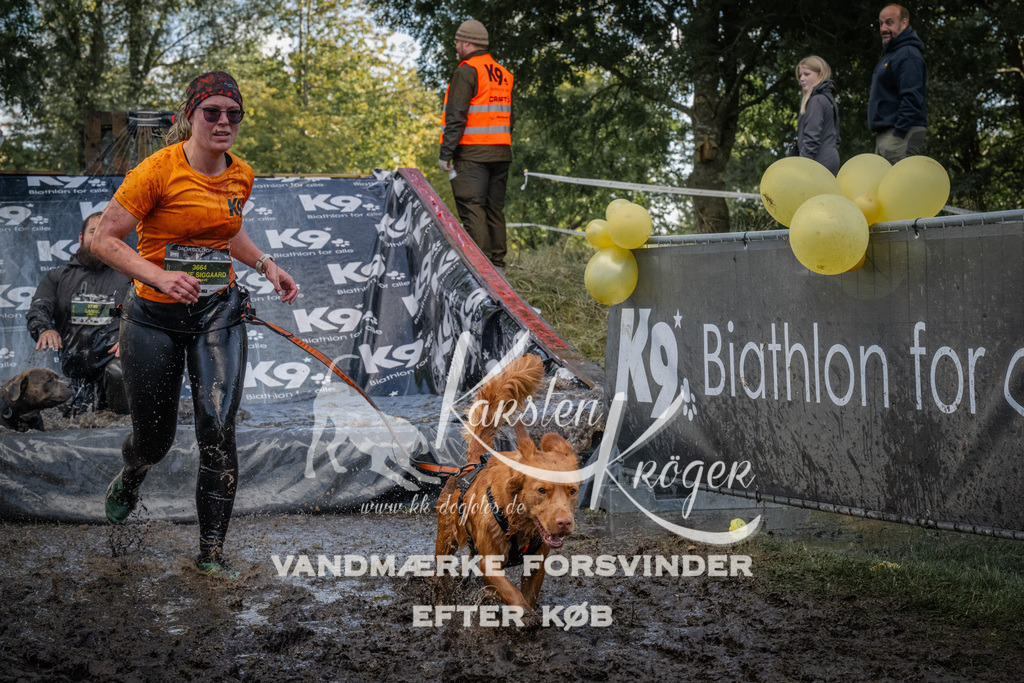 1555_ZZ91282 | kk-dogfotos