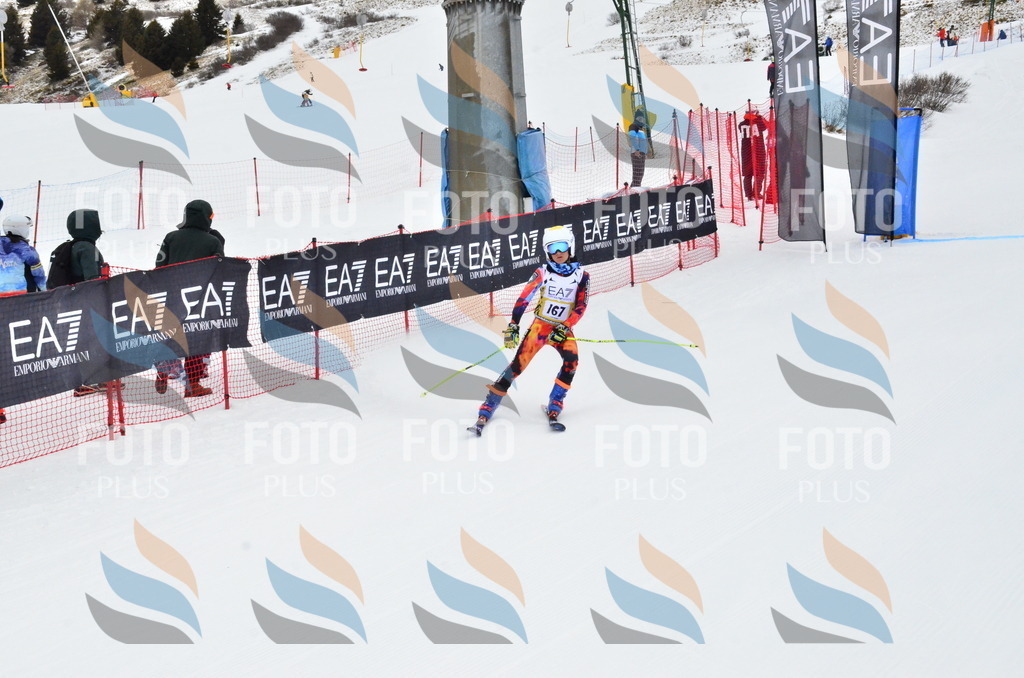 _ELE3891 | holidayphoto