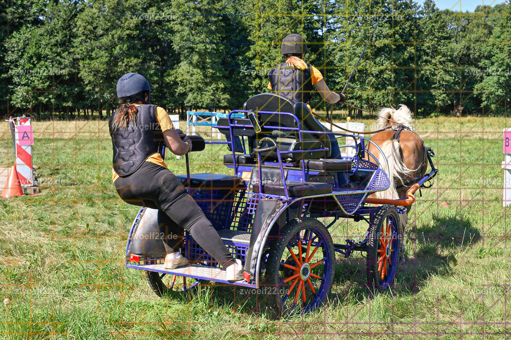 30 Jahre RFV Pulsnitz e.V., Pulsnitz am 09.08.2026 | 30Jahre Reit- und Fahrverein Pulsnitz e.V., Pulsnitz am 08.08.2026Zur 28. breitensportlichen Veranstaltung des RFV Pulsnitz e.V. fanden verschiedene Wettbewerbe in nahezu allen Disziplinen des Pferdesport statt.- Geländefahr-Wettbewerb - Realisiert mit Pictrs.com