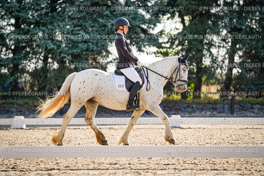 DSC09314 | Pferdegrafie