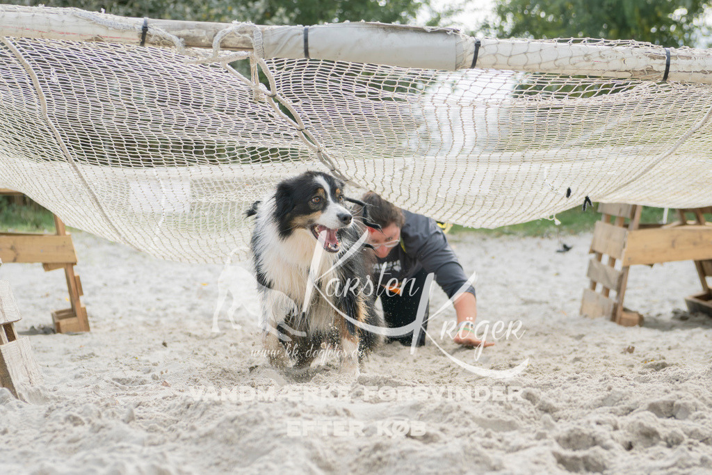 1309_ZZ95620 | kk-dogfotos