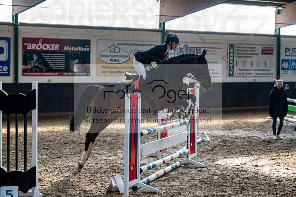 20240308-DOS_3286 | Entdecke hochwertige Reitturnierfotos von Foto Oger. Professionell, emotional und authentisch – jetzt Lieblingsmomente im Shop bestellen.Deutschlandweite Turnierfotografie. - Realisiert mit Pictrs.com